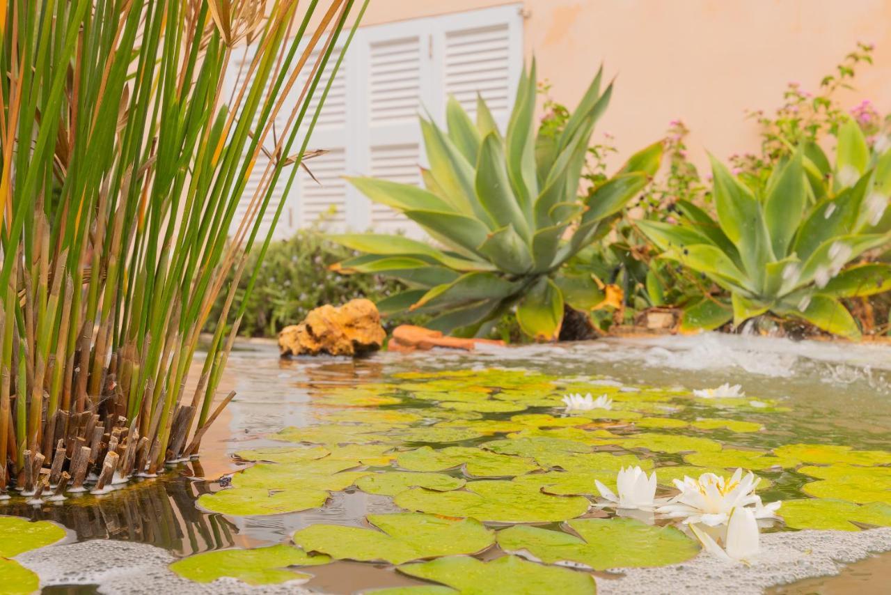 Villa Dolce Vita Пуэрто-Колом Экстерьер фото